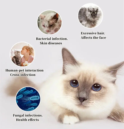 Hygiënische Borstel voor Kat en Hond